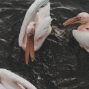 도두리공원 이미지