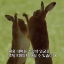 돼지치마집 이미지