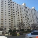 하단동1175 이미지