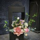 더 올림(The Ollim) 이미지