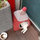 타이어프로 구미옥계점 이미지