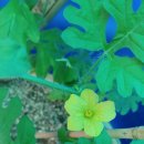 속초보광병원 이미지