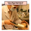 햇빛화원