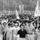 박용만농장 이미지