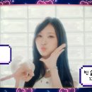 커리어앤스카우트주