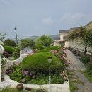 강화도하이맘키즈스파펜션 옐로 이미지