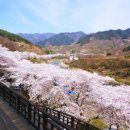 화창전자 이미지