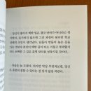 낭만청춘 이미지