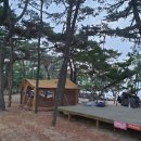 파라다이스캠핑장 이미지