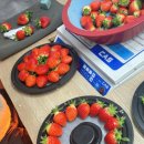 지방농장 이미지