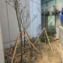 정원조경건설 이미지