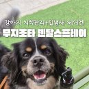 조타 | 강아지 입냄새 제거 덴탈스프레이 추천! 무지조타덴탈스프레이| 일주일 사용 솔직후기🐾