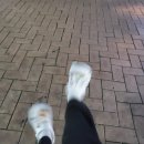 알로기공원(부곡동 1157-4) 이미지