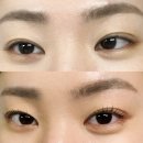 원노형마을 (노형오거리/이마트방면) | 재방문한 노형속눈썹펌 맛집 눈별 영양수분가득 속눈썹펌 후기