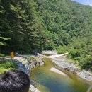 신선계곡 | [울진] 숨은 계곡 추천 신선계곡 울진 계곡 추천 신선계곡 후기 (주차 및 안내)