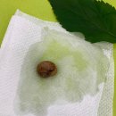 봉오재3로/염곡로 교차로(퍼스트프라자) | 덥고 습하고 찝찝해도 먹는 건 못 참지