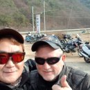약닭 이미지