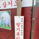 수타큰손짜장 이미지