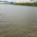 월곡지 이미지