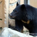 웅담농장 이미지