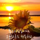 산전산후