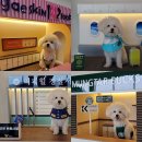 퍼피힐(PUPPY HILL) 이미지