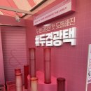 영 페스타] 21일오전, 23일 저녁권 방문부스 정리 후기,꿀팁 + 꼭 들러야 하는 부스 추천! (오전/저녁...