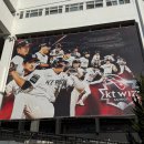 위즈 | 3~4월 KT 위즈파크 직관 후기⚾ (vs NC / 삼성 / 두산)