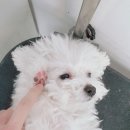 펫파크 동백점 이미지