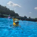 쌍용레져 | [파주 물놀이] 삼겹살 구워 먹는 물놀이장! 파주 쌍용레저 완전 총정리 💦🥩