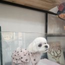 쥬니네일 이미지