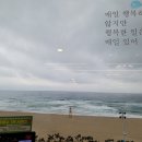 오롯이 이미지