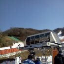 양지파인리조트 이미지