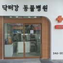 태화동물병원 티스토리