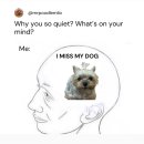 사랑해봉달이(폐업) | 이공이사 연말을 사랑해