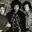 JIMI company