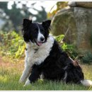 두리원민박 이미지