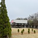 봉곡남로-20 | 구미 감성카페 끝판왕, 버니빈베이커리 쫀득 모찌롤 솔직후기 ✨