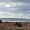 스파펜션링스 이미지