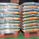 일죽면 행정복지센터 이미지