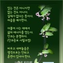 다솔사길 이미지