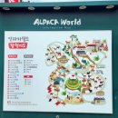 피콕빌리지 펜션 이미지