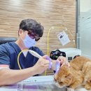 주주종합동물병원 이미지