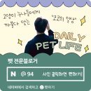 강남애견백화점 이미지