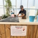 삼가1통 이미지