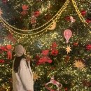 미리 미리 크리스마스🎄 이미지