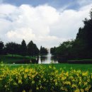 써니하우스민박 이미지