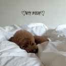 스테이옛 서로의시선 이미지