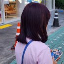에리카헤어노형점 | 에리카 헤어 제주 연동점 염색 후기 💜