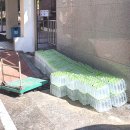 서울거원초등학교 이미지